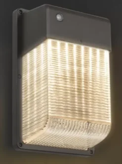 * Outdoor Lighting|Best Pirce Patriot Lighting® Bronze Led Dusk-To-Dawn Outdoor Security Wall Pack Light