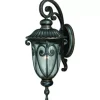 * Outdoor Lighting|Best Reviews Of Patriot Lighting Elegant Home Patriot Lighting® Elegant Home Cheleste Textured Mahogany Outdoor Wall Light