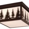 * Outdoor Lighting|Best Reviews Of Patriot Lighting® Forest Burnished Bronze Outdoor Ceiling Light
