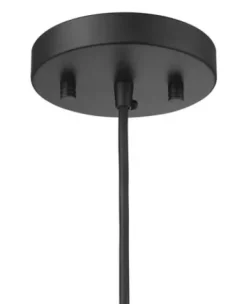 * Indoor Lighting|Brand New Patriot Lighting® Abelia Black 1-Light Pendant