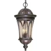 * Outdoor Lighting|Budget Patriot Lighting® Cambria Royal Bronze Outdoor Pendant Light