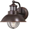 * Outdoor Lighting|Buy Patriot Lighting® Dualux® Harwich Burnished Bronze Outdoor Wall Light