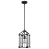 * Indoor Lighting|Buy Patriot Lighting® Elegant Home Levon Weathered Gray Faux Wood & Black 1-Light Mini Pendant