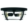 * Indoor Lighting|Cheapest Patriot Lighting® Haley Matte Black 2-Light Flush Mount Ceiling Light