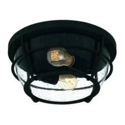 * Indoor Lighting|Cheapest Patriot Lighting® Haley Matte Black 2-Light Flush Mount Ceiling Light