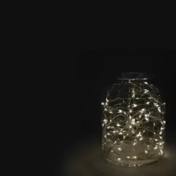 * Outdoor Lighting|Coupon Patriot Lighting® 33′ 100 Light Warm White Led Fairy String Light
