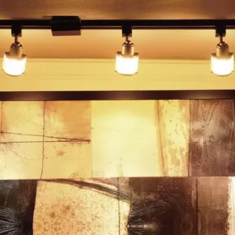 * Indoor Lighting|Coupon Patriot Lighting® Almora 1-Light Black And Silver Halogen Track Lighting Head