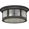 * Outdoor Lighting|Coupon Patriot Lighting® Hanover Brushed Iron 2-Light Outdoor Flush Mount Light