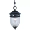 * Outdoor Lighting|Deals Patriot Lighting Elegant Home Patriot Lighting® Elegant Home Oaklynn Forged Sienna Outdoor Pendant Light