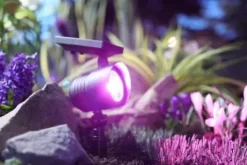 * Outdoor Lighting|Deals Patriot Lighting® Solar Integrated Led Color Changing Spot Landscape Light