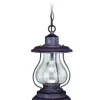 * Outdoor Lighting|Discount Patriot Lighting® Portage Weathered Pantina 8″ Outdoor Pendant Light