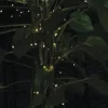 * Outdoor Lighting|Outlet Patriot Lighting® 52′ 5-1/2″ 150-Light Solar Powered Mini Led String Light