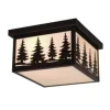 * Outdoor Lighting|Promo Patriot Lighting® Forest Burnished Bronze Outdoor Ceiling Light