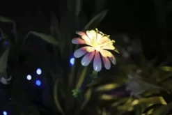 * Outdoor Lighting|Promo Patriot Lighting® Solar Integrated Led Magnolia Landscape Light