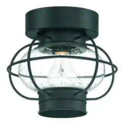 * Outdoor Lighting|Top 10 Patriot Lighting® Shoalview Bronze 1-Light Outdoor Flush Mount Ceiling Light
