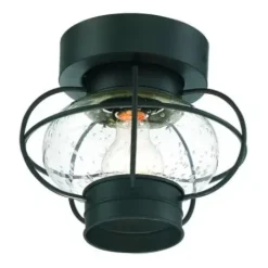 * Outdoor Lighting|Top 10 Patriot Lighting® Shoalview Bronze 1-Light Outdoor Flush Mount Ceiling Light