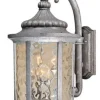 * Outdoor Lighting|Wholesale Patriot Lighting® Valencia Gilded Silver Outdoor Wall Light